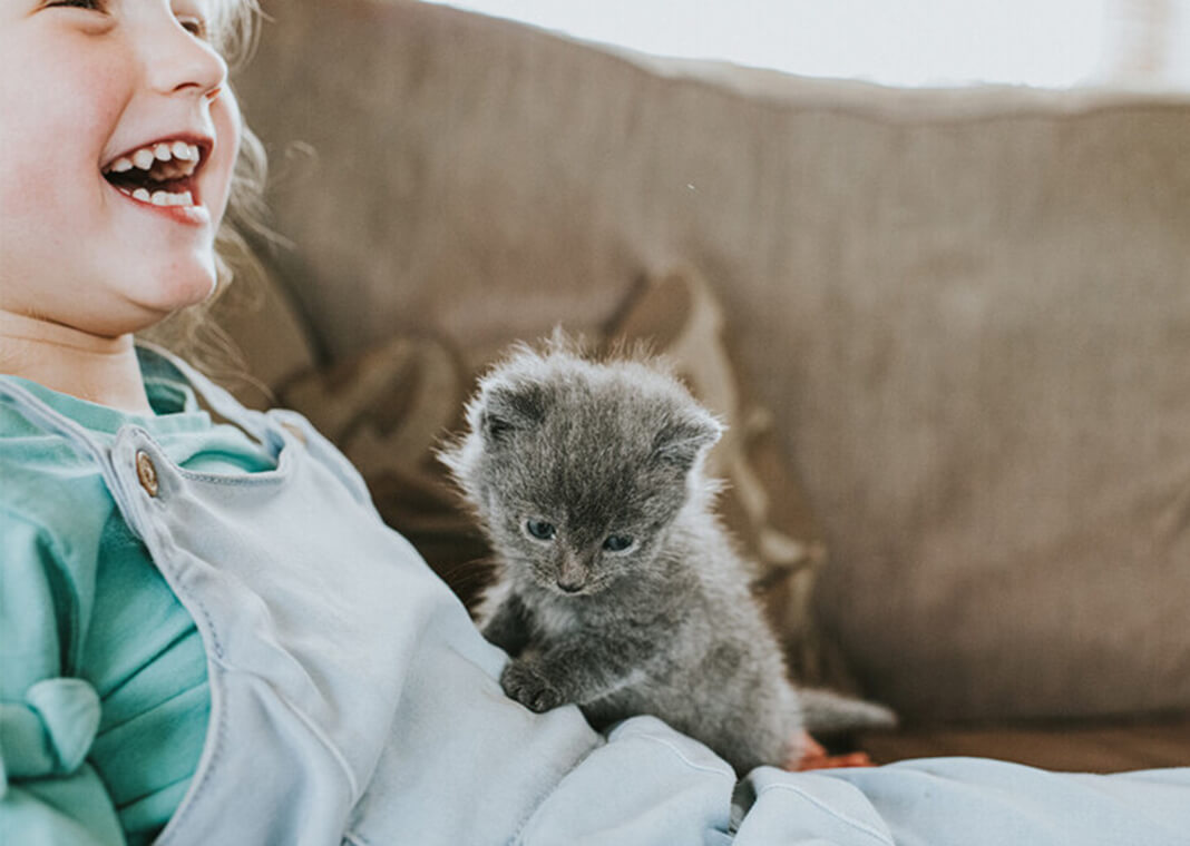 girl giggles with kitten on lap - Catherine Falls Commercial/Moment/Getty Images