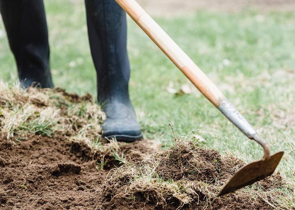 Tilling the Soil of My Heart - Ignatian Spirituality