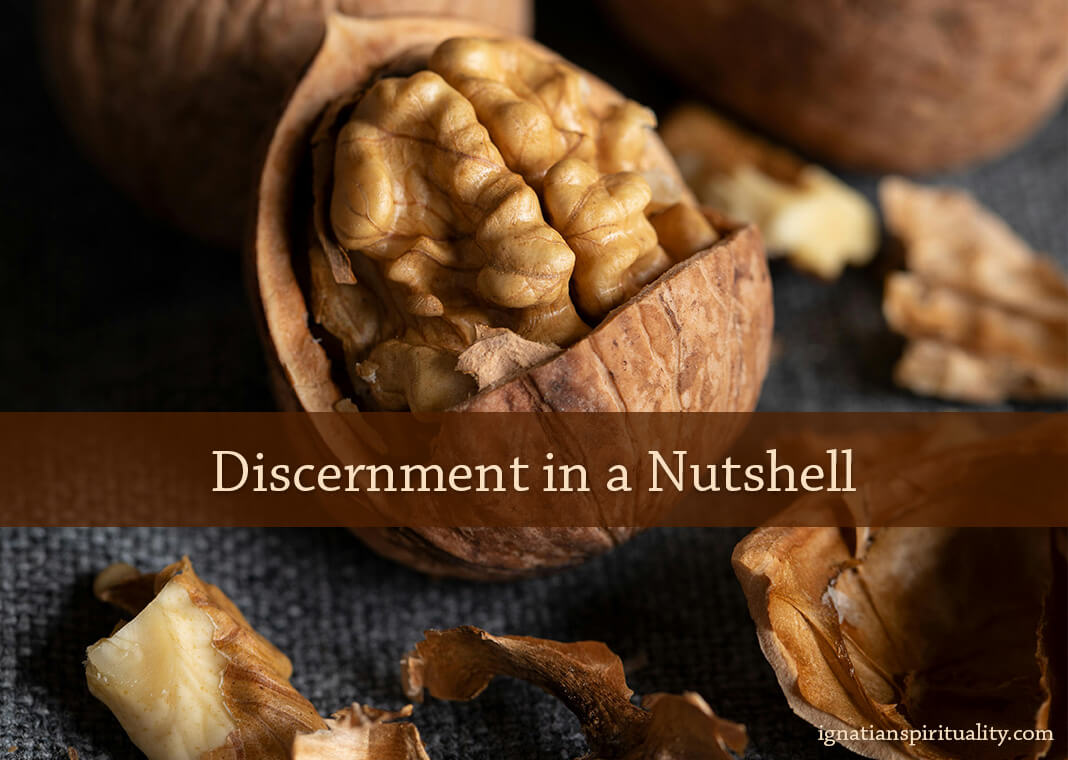 Discernment in a Nutshell - text over photo of cracked walnuts - photo by saeed basseri on Pexels