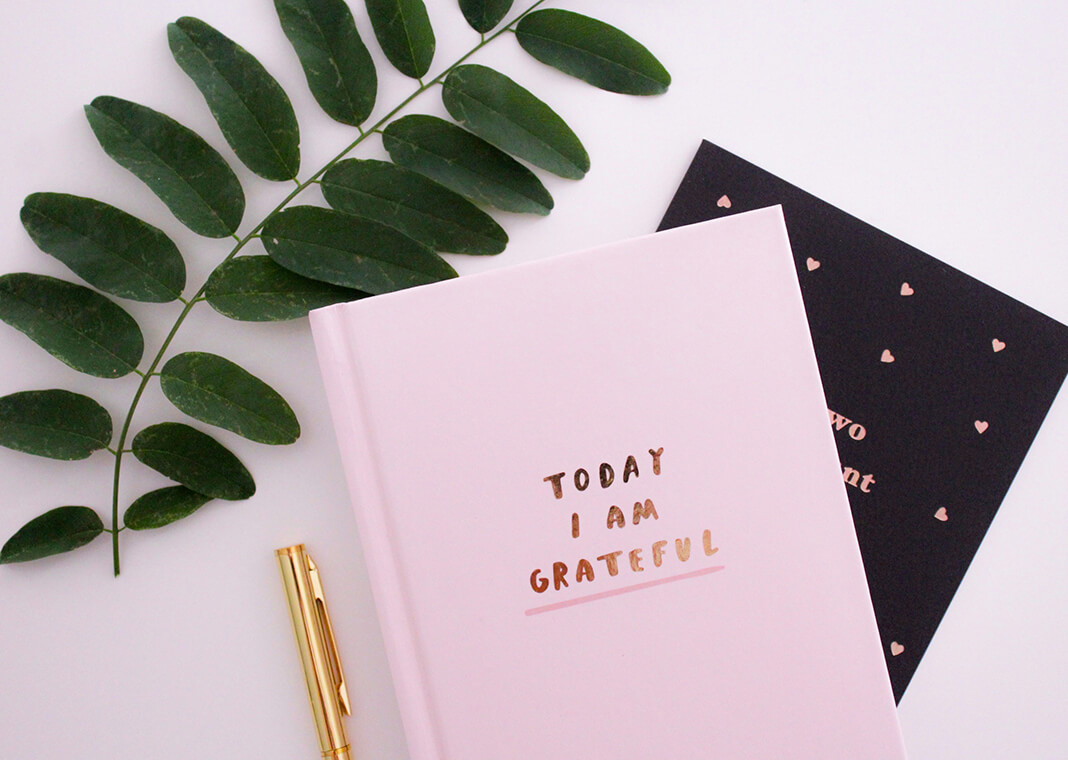 pink gratitude journal next to plant - photo by Gabrielle Henderson on Unsplash