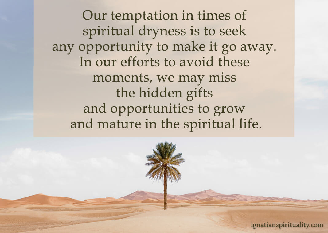 Our temptation in times of spiritual dryness is to seek any opportunity to make it go away. In our efforts to avoid these moments, we may miss the hidden gifts and opportunities to grow and mature in the spiritual life. - quote by Eric Gurash on background of palm tree in desert landscape - Roine Magnusson/Stone RF/Getty Images