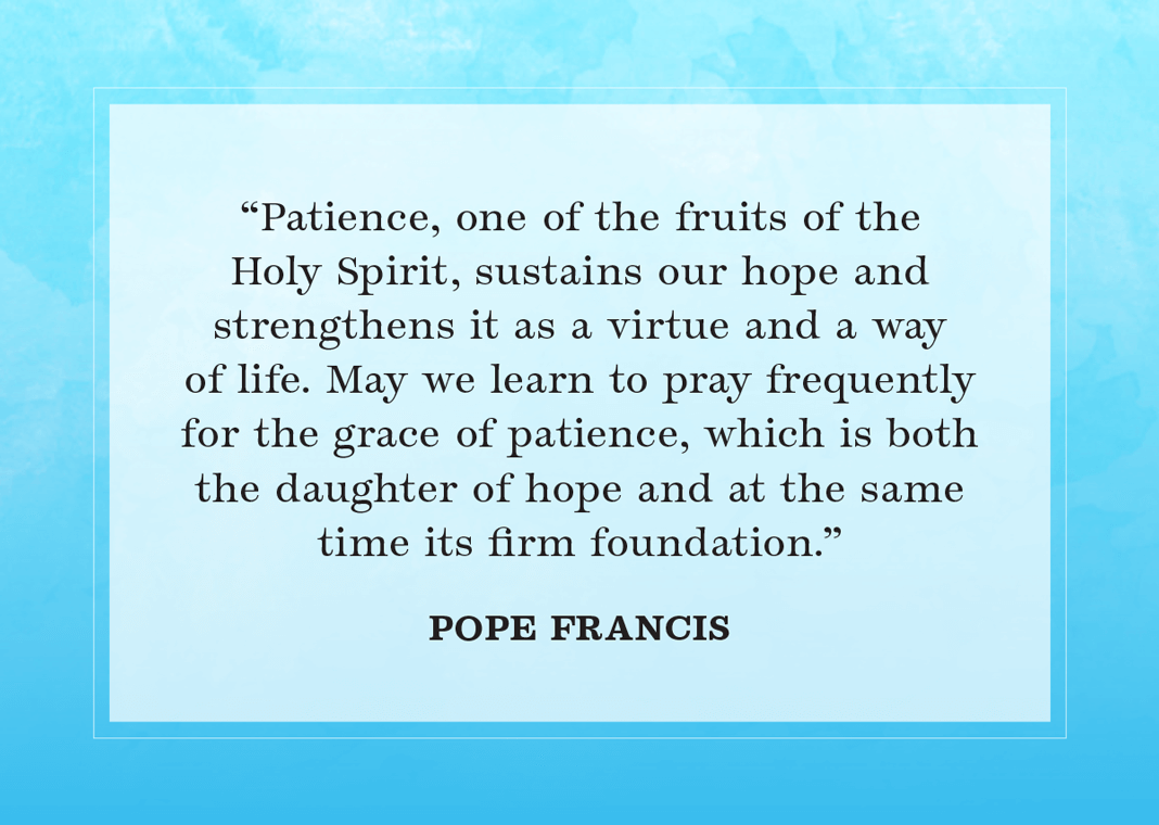 "Patience, one of the fruits of the Holy Spirit, sustains our hope and strengthens it as a virtue and a way of life. May we learn to pray frequently for the grace of patience, which is both the daughter of hope and at the same time its firm foundation." -Pope Francis in Spes Non Confundit ("Hope Does Not Disappoint") - text of quote on a blue background